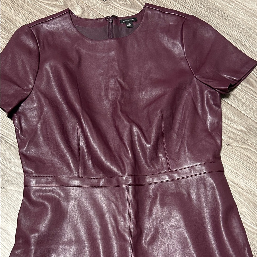 Ann Taylor Faux Leather Dress - Picture 3 of 5
